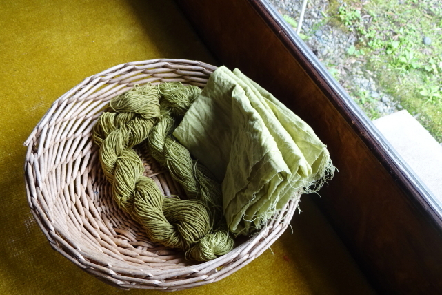 草木染（クサギ）綿糸とサラシを染めました